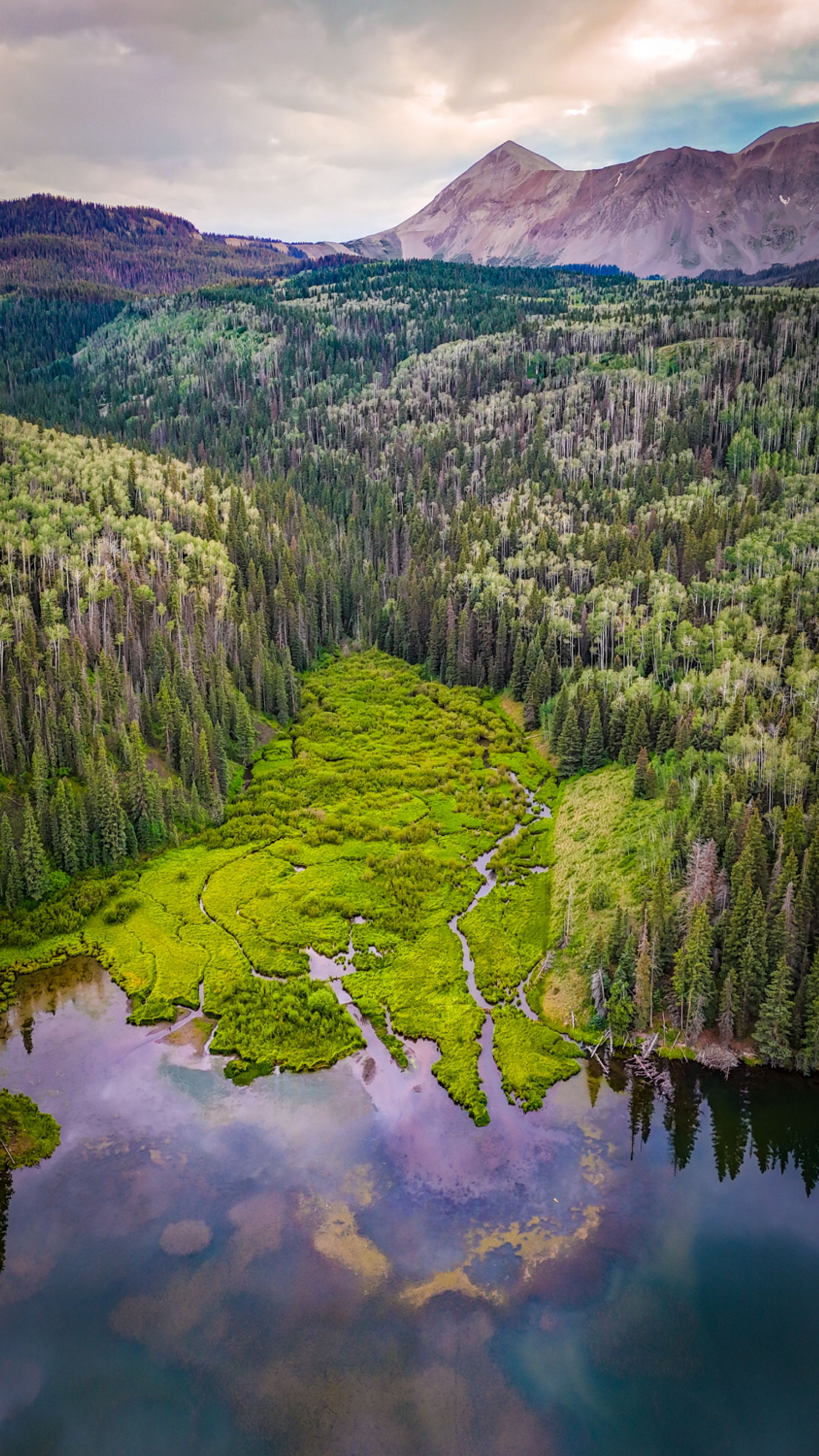 Woods Lake Delta VERTICAL